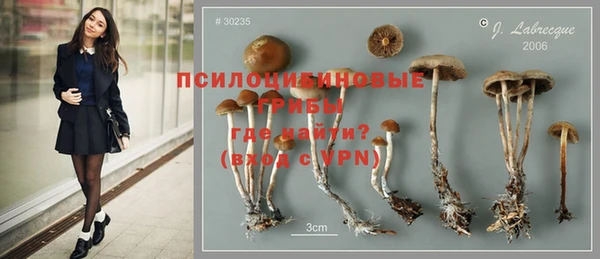 дмт Алексин