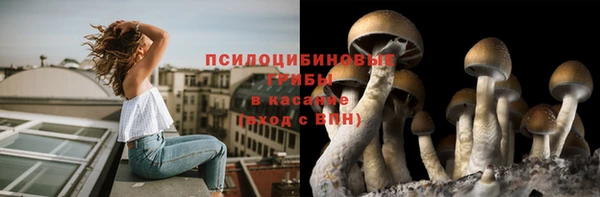 гидра Алексеевка
