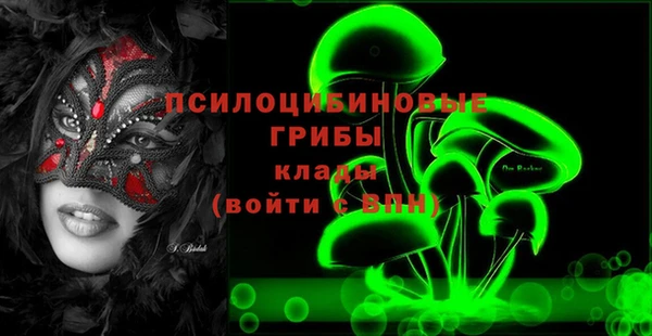 дмт Алексин