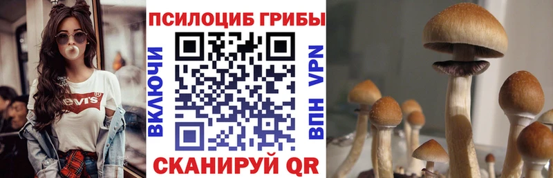 mega зеркало  Артёмовск  Галлюциногенные грибы Psilocybe 